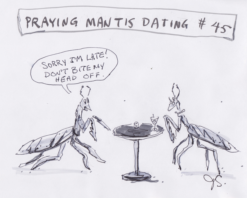 Praying Mantis Dating