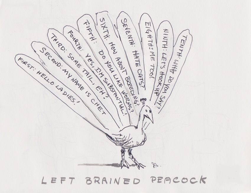 Left Brained Peacock