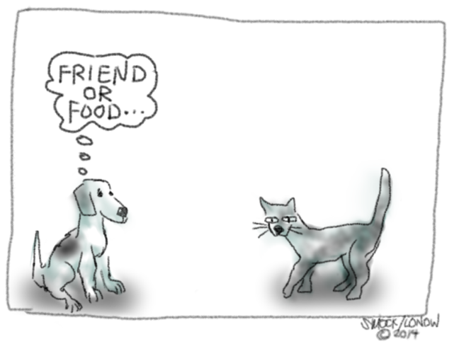 friend or food d